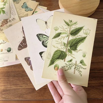 Forest Plant Series Decorative Card Wall Bedroom Postcard Wall Sticker Decoration Decorative Card